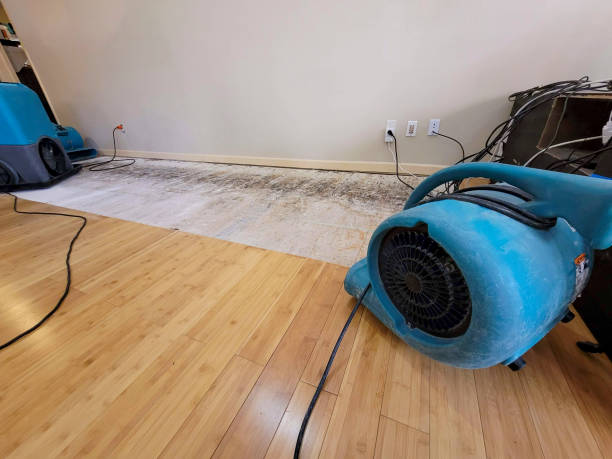 Professional Sewage Cleanup technician working in Unionville, TN